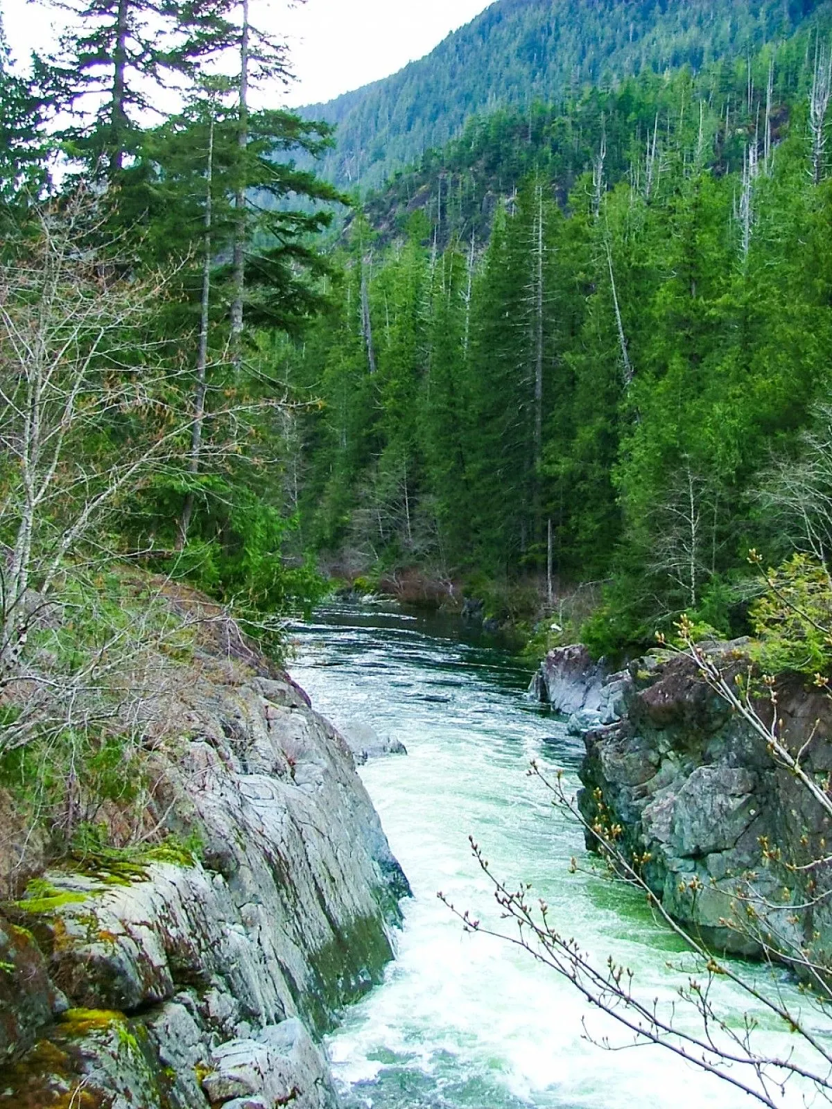 Kennedy River BC, œuvre de Greg Sandoval