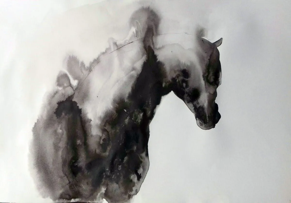Blackish (coming towards), œuvre de marija colic