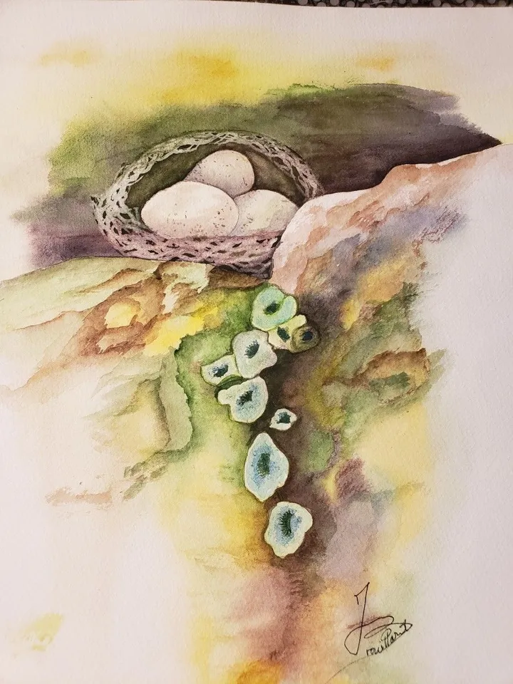 Nid d'Oiseaux, œuvre de joelle BROUILLARD