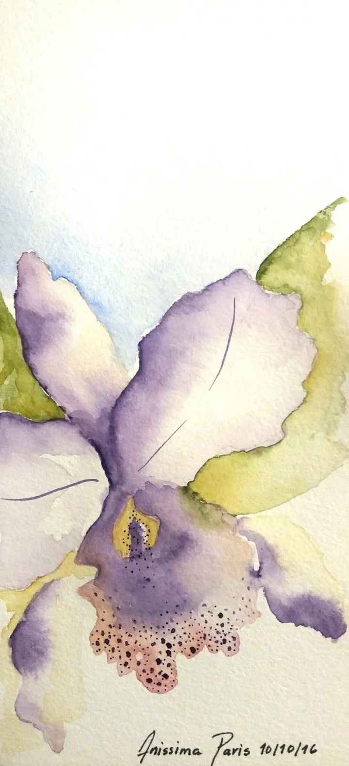 ORCHIDEE, œuvre de Ana V
