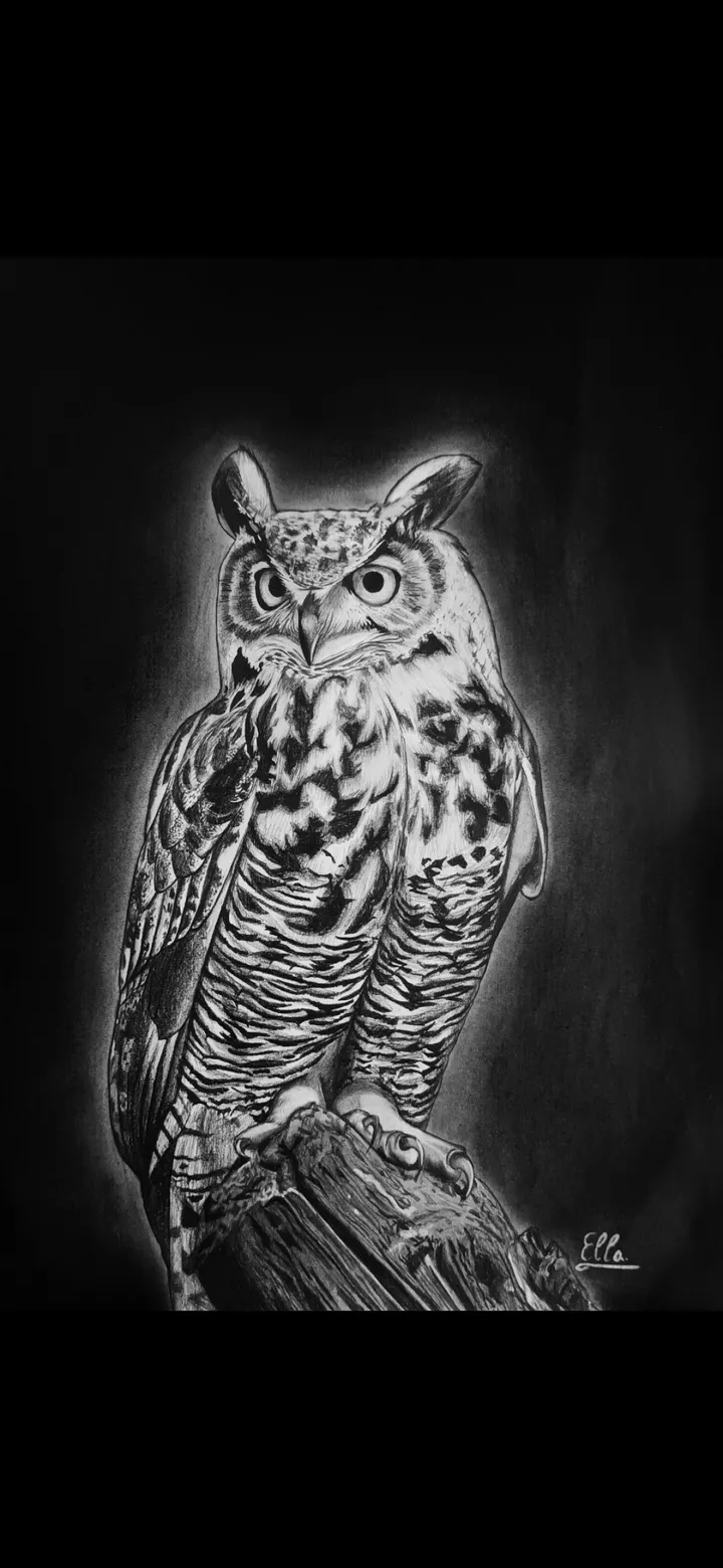 Night Hunter, artwork by Rahela Dochi?oiu