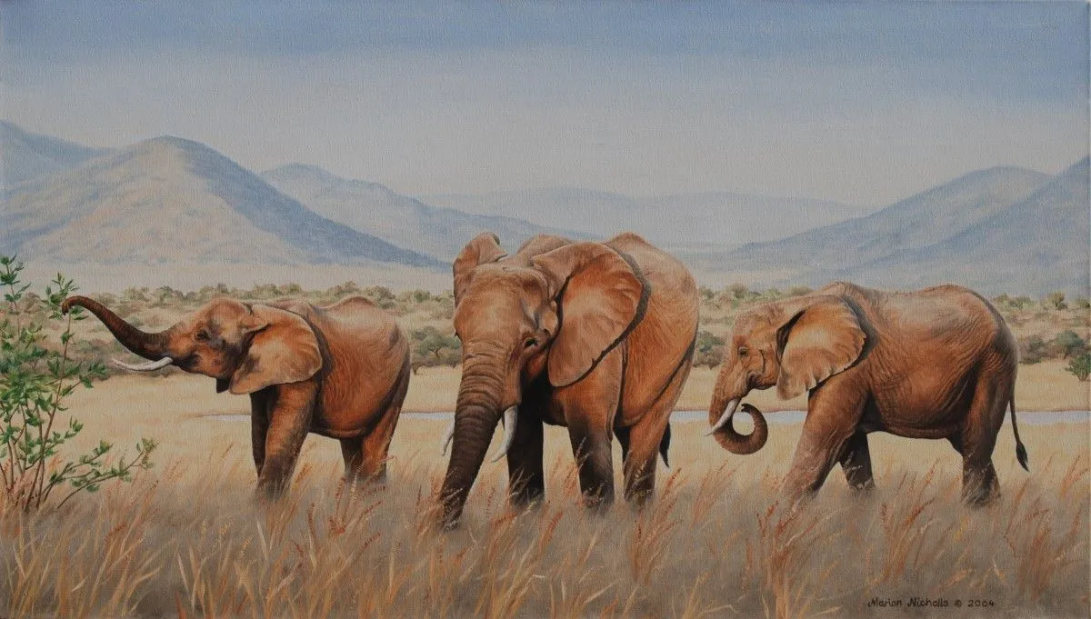 Pilanesberg trio, artwork by Marion Nicholls