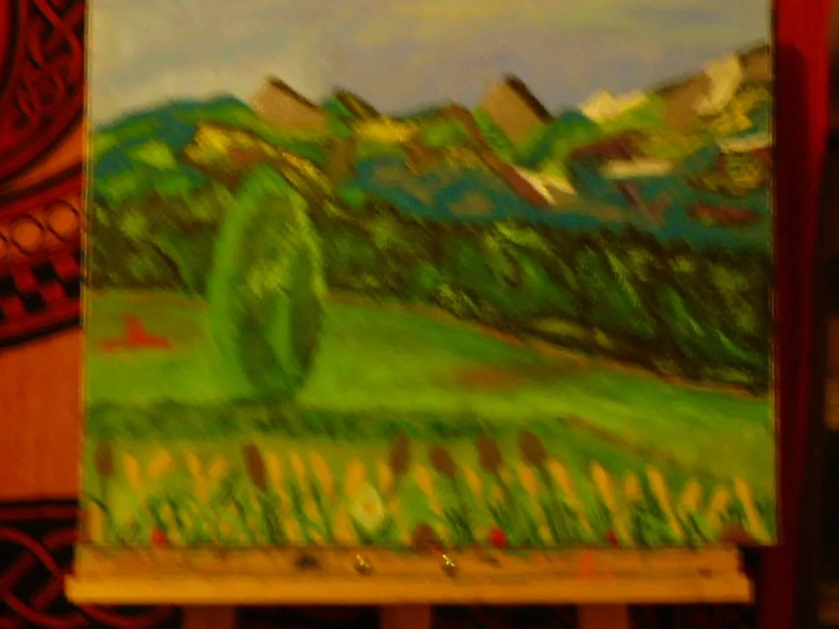 paysager montagneux, œuvre de Christophe Constant
