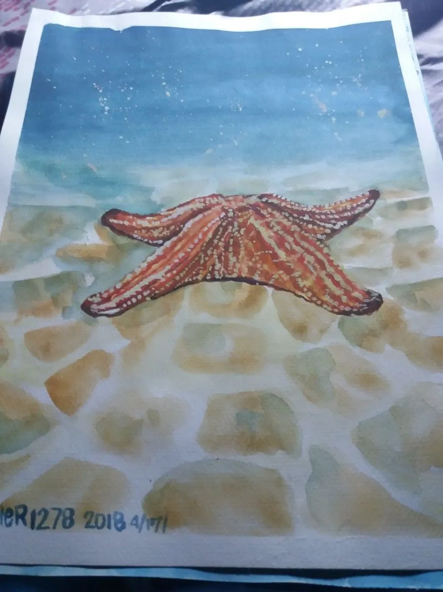 Starfish, artwork by Cheryl Santos
