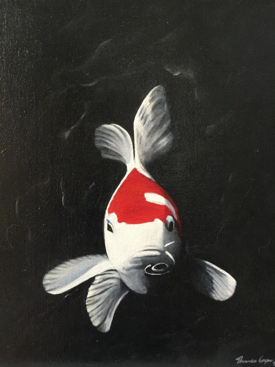 Koi: Charlie, œuvre de Theresa Cooper