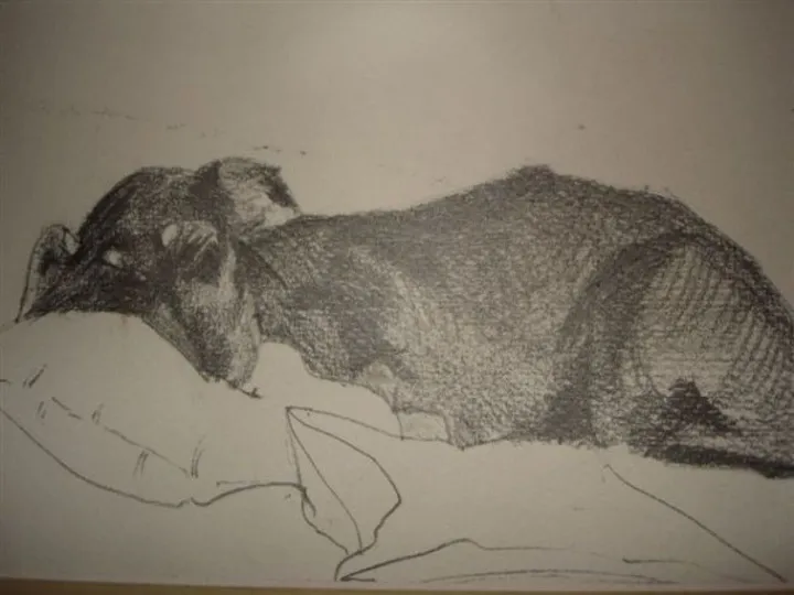 Fricht, artwork by François Paris