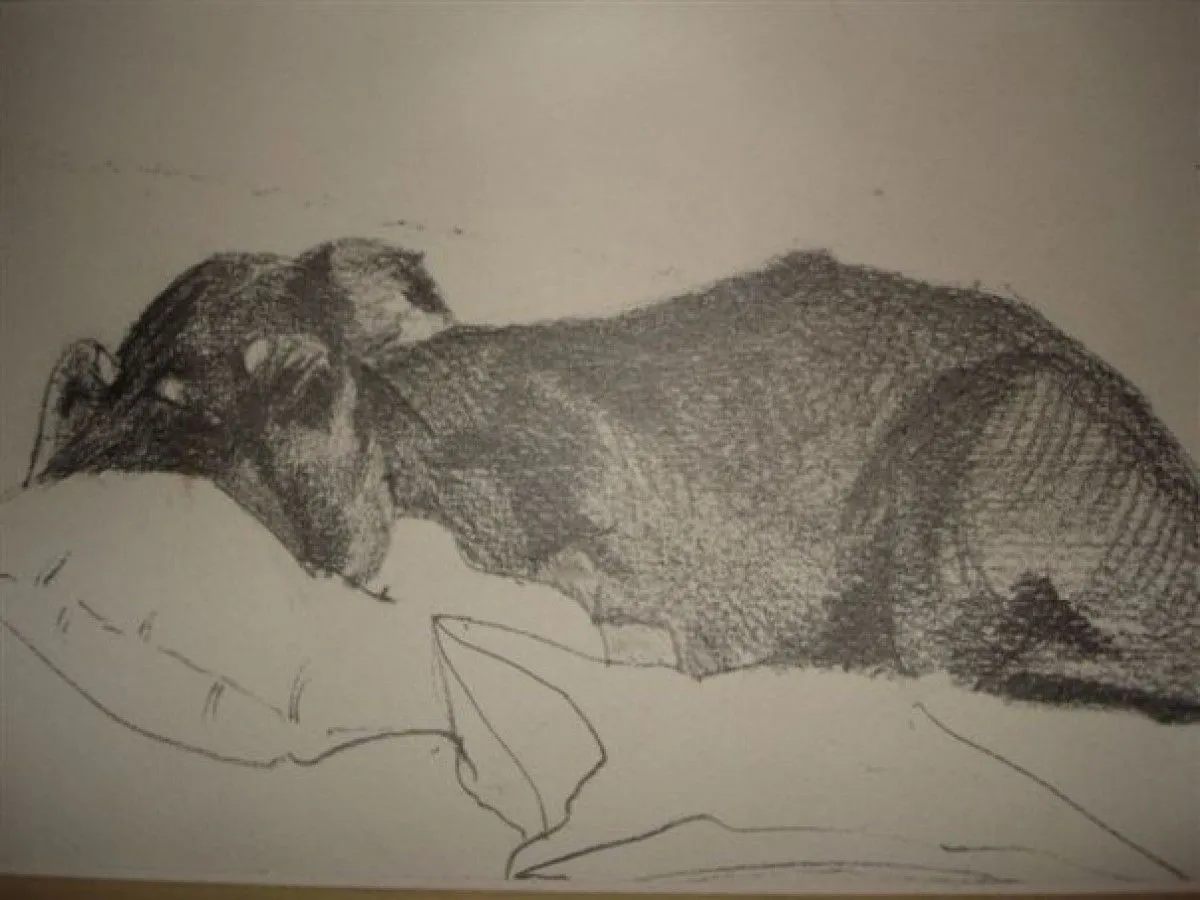 Fricht, artwork by François Paris