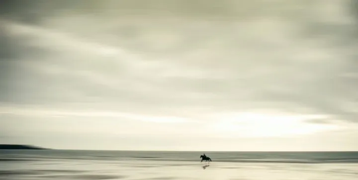 free, artwork by Josh Adamski