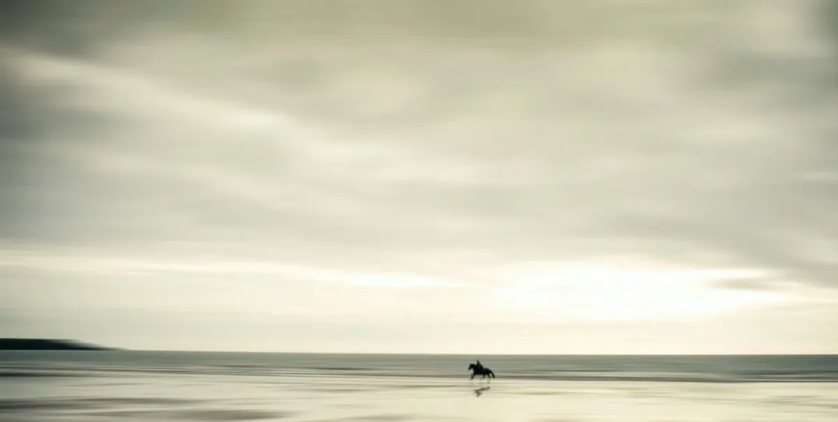 free, artwork by Josh Adamski