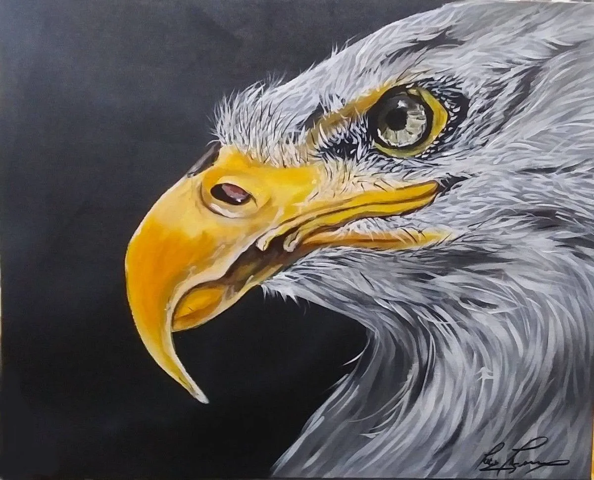 Eagle, œuvre de Lucie Theroux