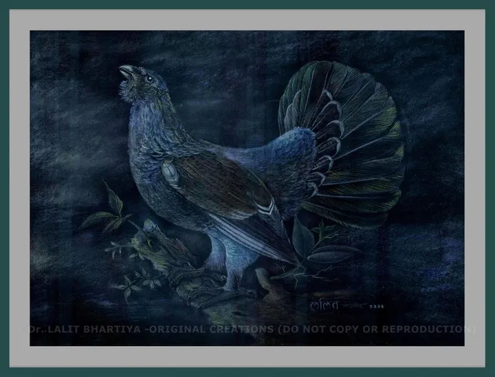 HEN, œuvre de Lalit Bhartiya