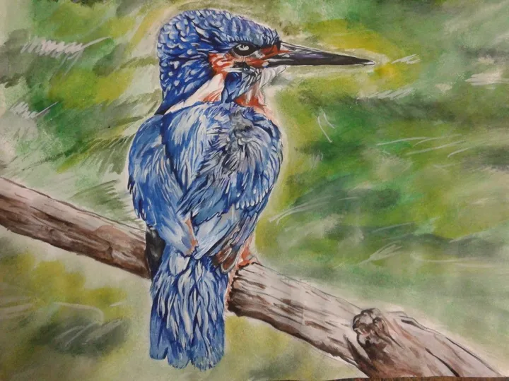 The kingfisher, œuvre de Onkar Kondvilkar