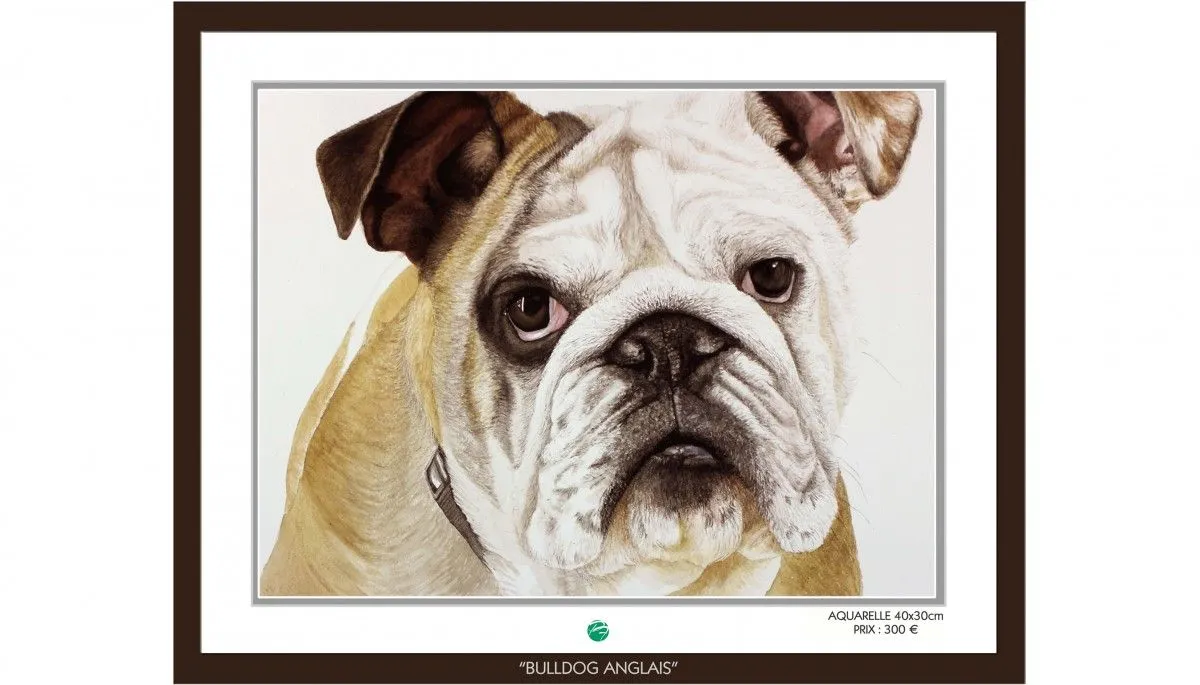 BULLDOG ANGLAIS, artwork by Pierre Frutschi