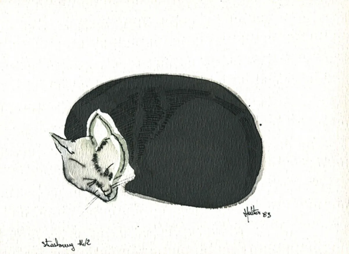 Chat boule, artwork by Alain HALTER