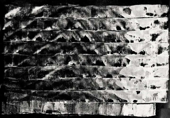 First Wave, œuvre de Ivana Kalezic