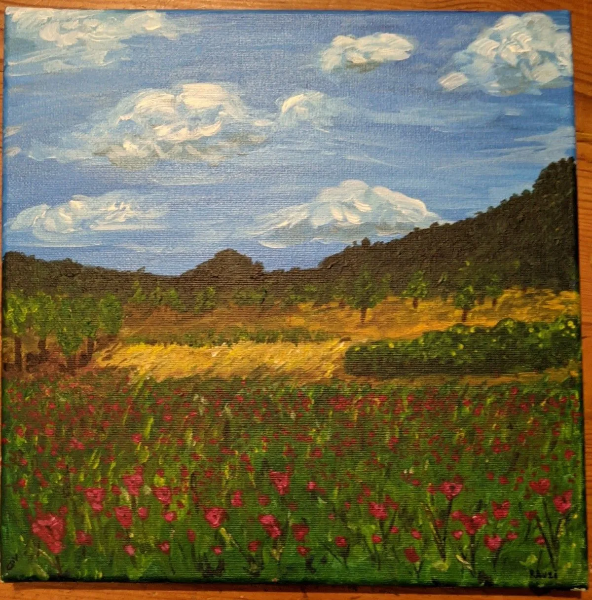 2020.06 - Le champs de coquelicots - 30x30, artwork by CELINE RAUZI