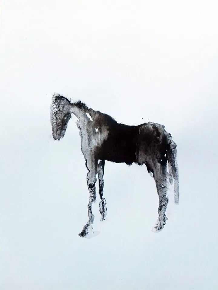 Little Black Horse, artwork by marija colic