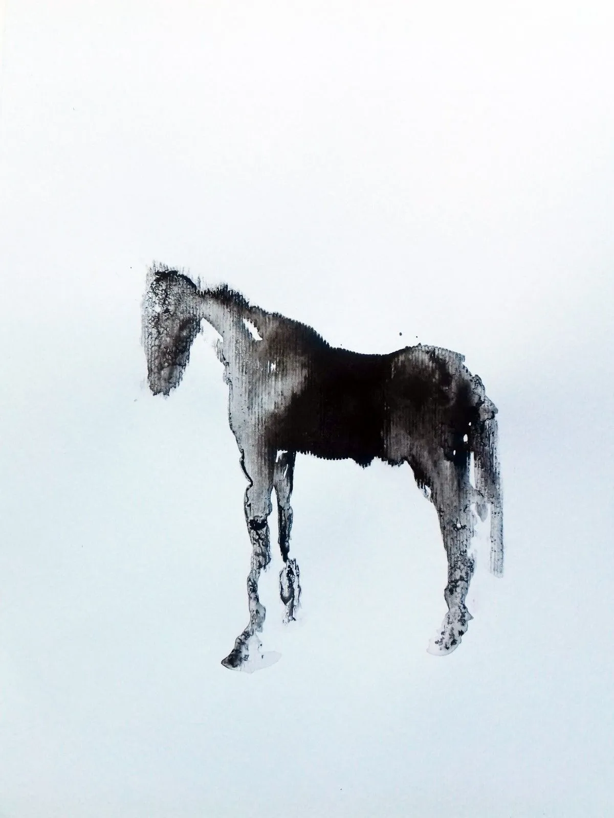 Little Black Horse, artwork by marija colic