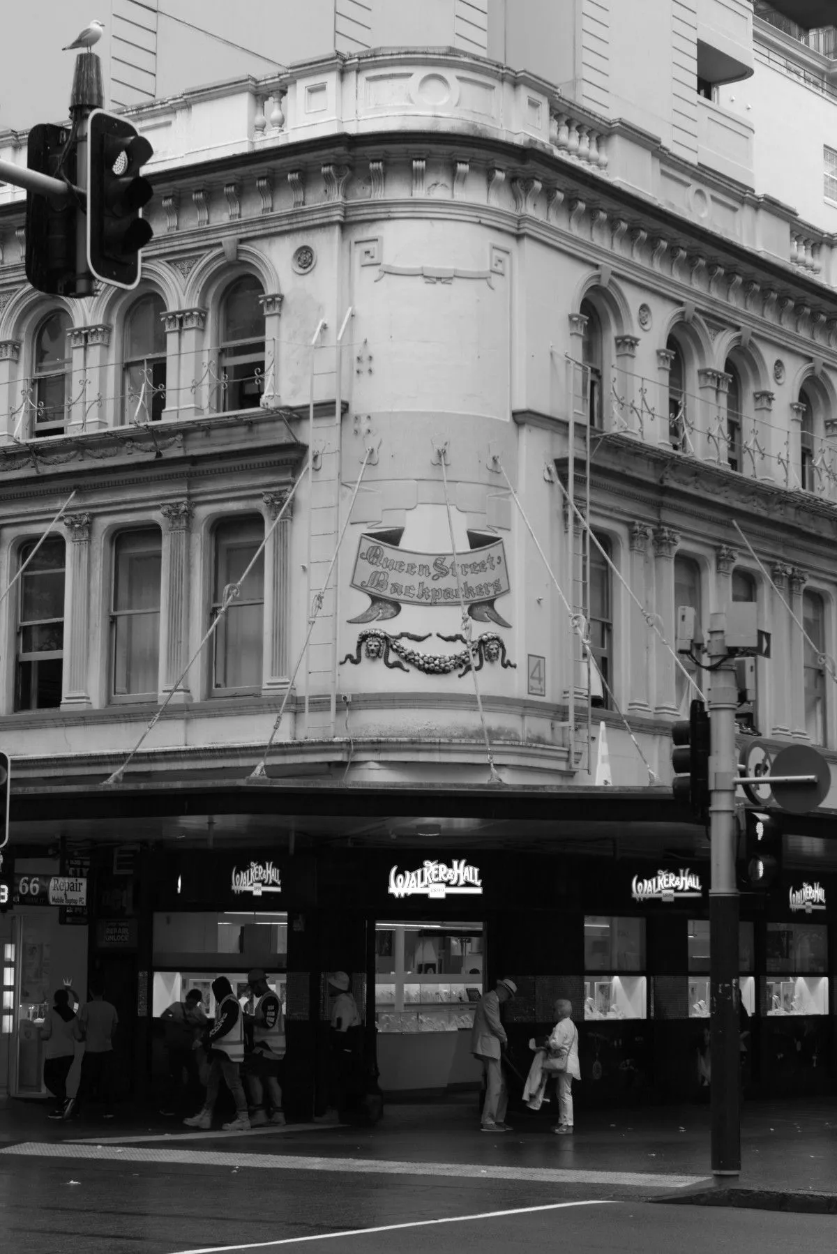 NZ Shopping, œuvre de Greg Sandoval