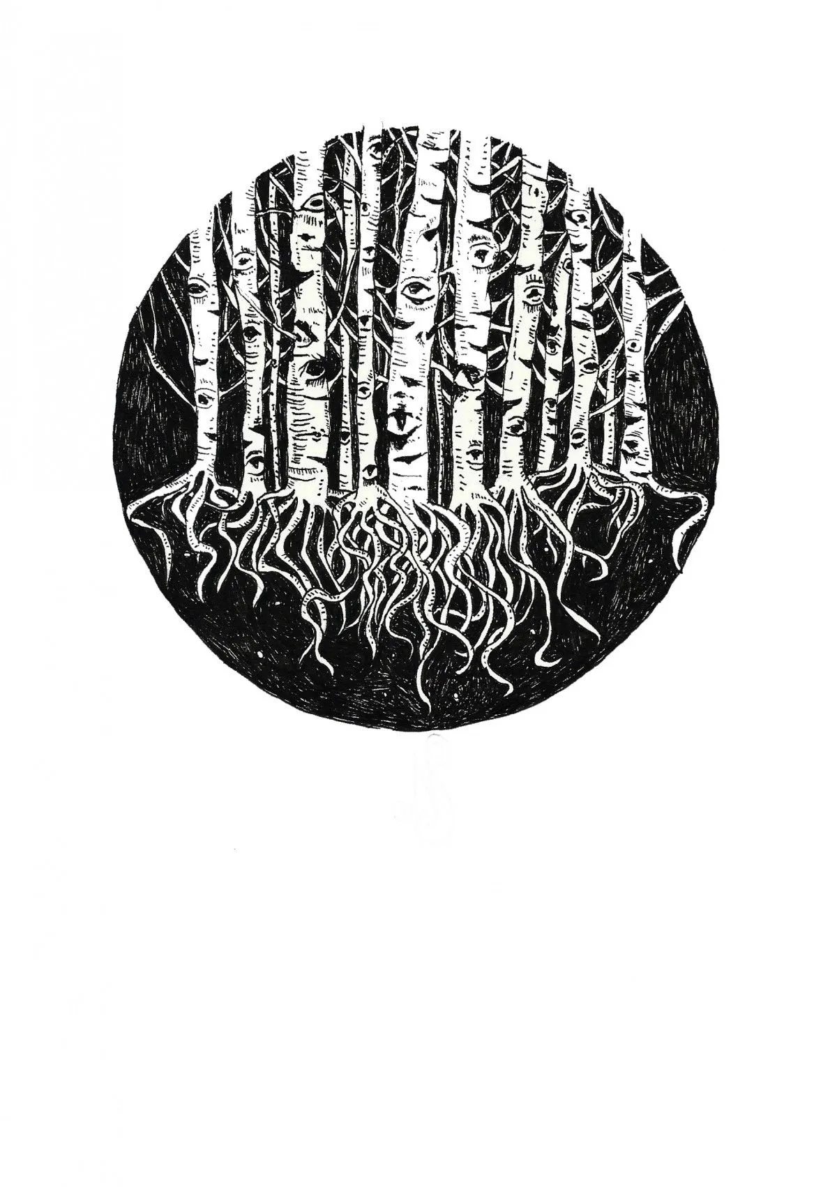 Watchful eye of the white birch, œuvre de Nastasha Minyon Sale