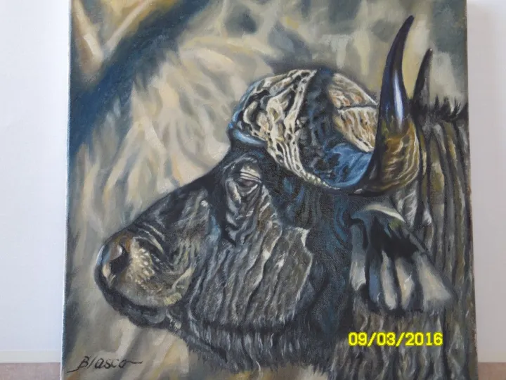 Buffalo's head, œuvre de Pierre-Yves Blasco