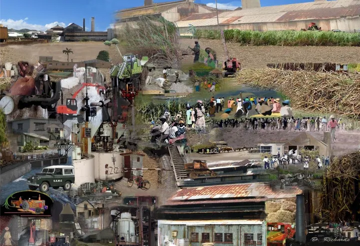 Bitter /Sweet history of the Sugar Industry inSt. Kitts, œuvre de Dennis Richards