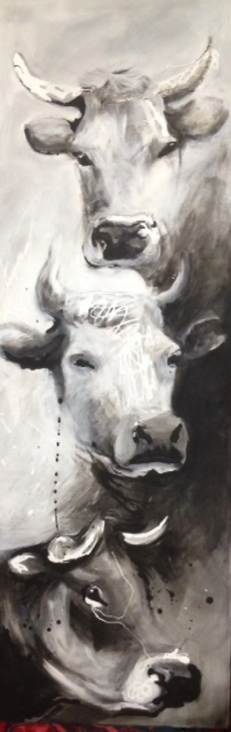portraits de vache 2, artwork by Nadine Gauthier