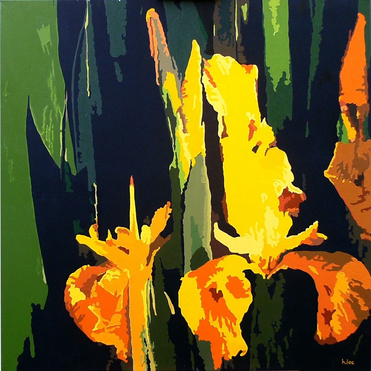 iris jaune, artwork by helene lecorsier