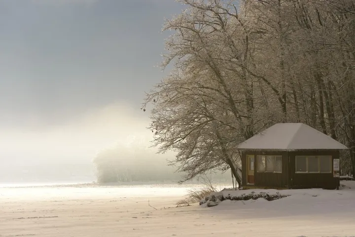 parc d'OKA (Quebec-Canada), artwork by Daniel Fabre