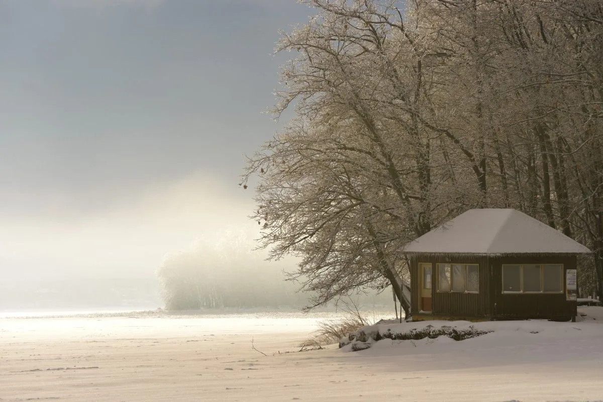 parc d'OKA (Quebec-Canada), artwork by Daniel Fabre