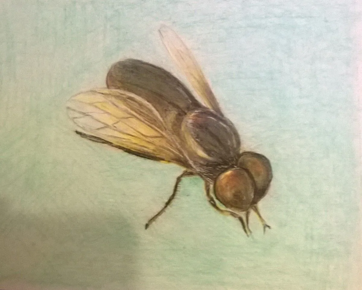 Fly, artwork by Ina Gujien?
