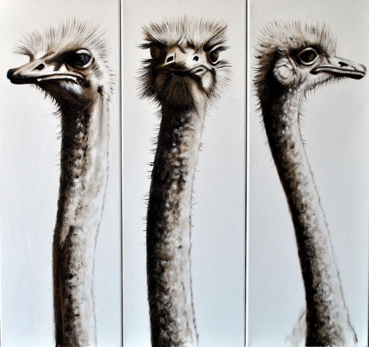 Ostrich set, œuvre de Adriaan Swartz