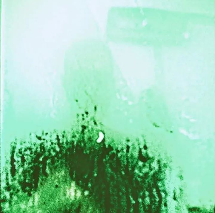 Stalker lust, œuvre de Stanislav Pavlovic