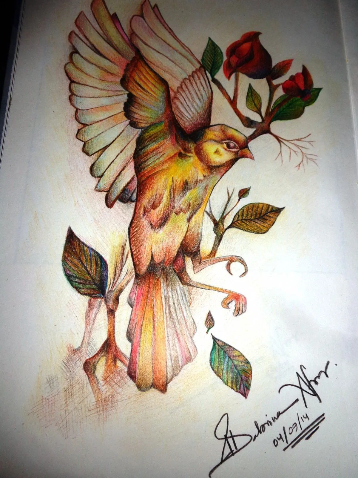 Rainbow Bird, œuvre de Sabrina Afroz