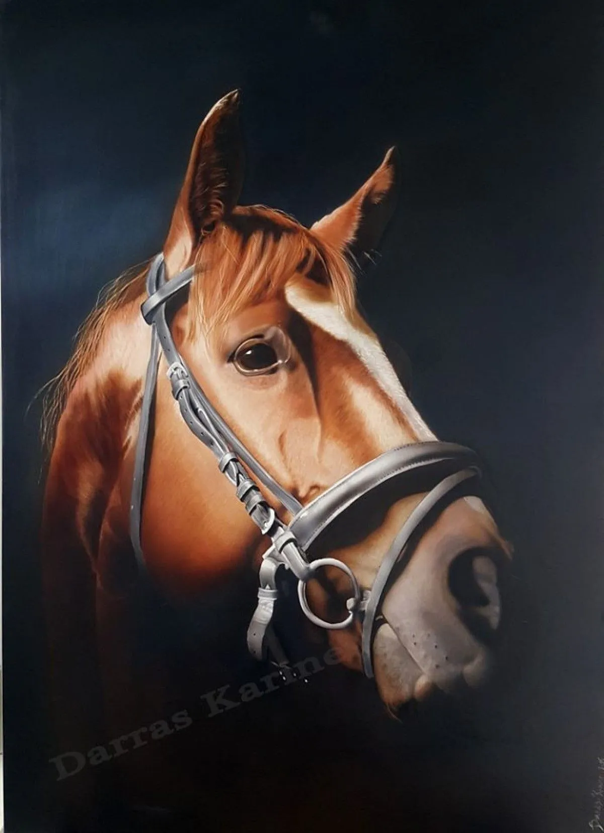 Horse, artwork by karine darras