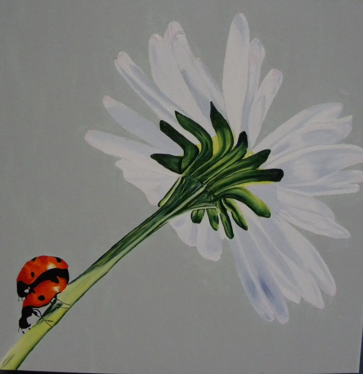 Coccinella copulabis, œuvre de Louyse Noël