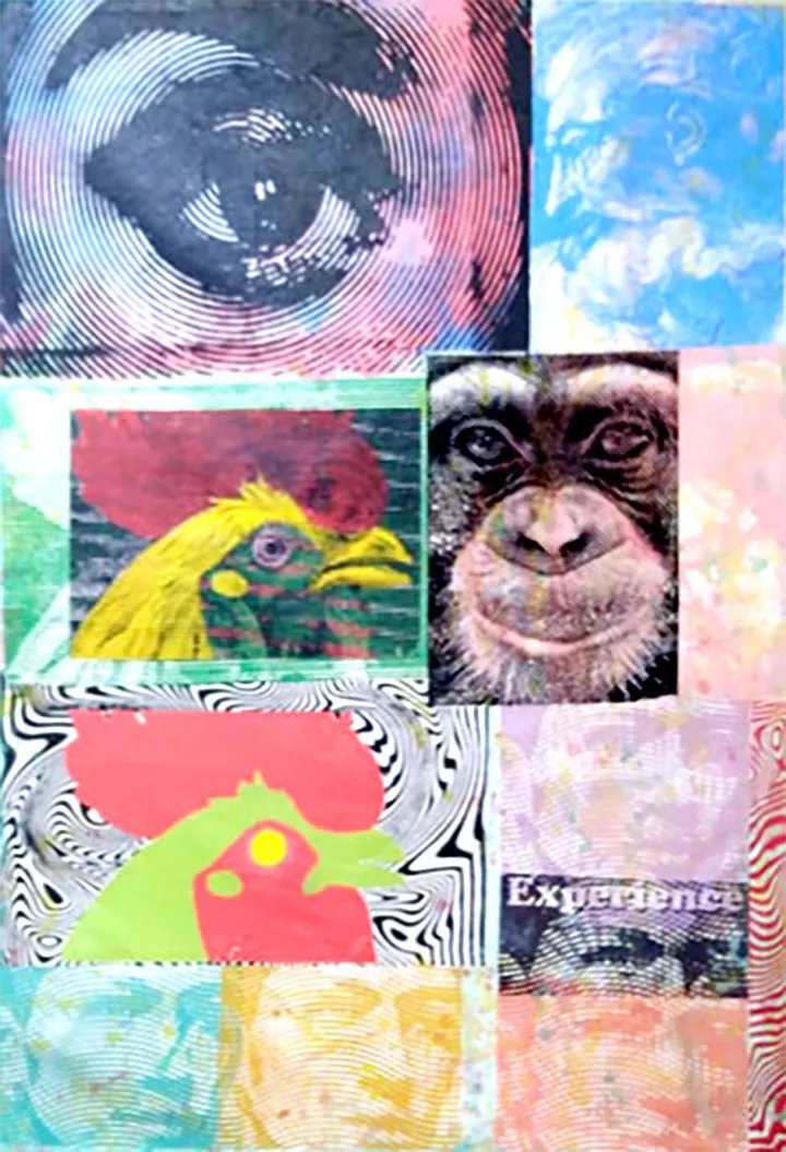 Are You Experienced, œuvre de Erick Encinares
