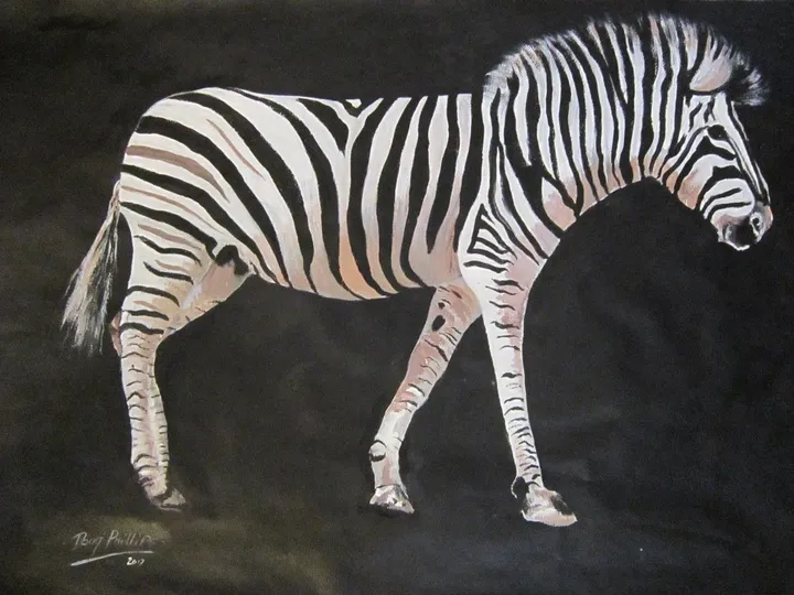 Zebra at night, artwork by doug phillips