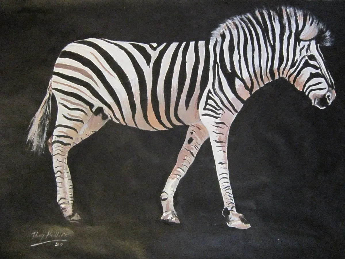 Zebra at night, œuvre de doug phillips