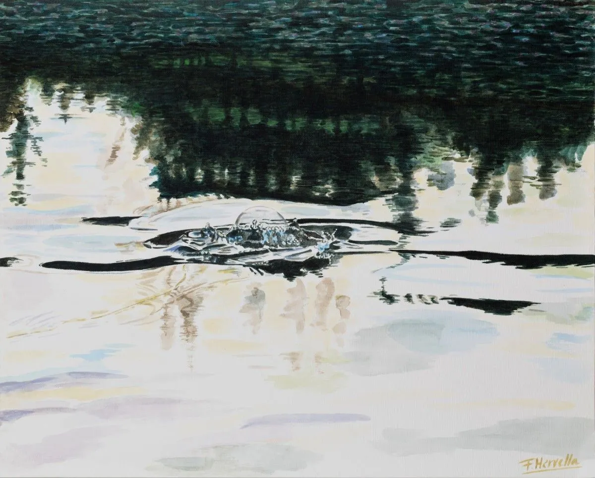 The take, artwork by Francisco Hervella