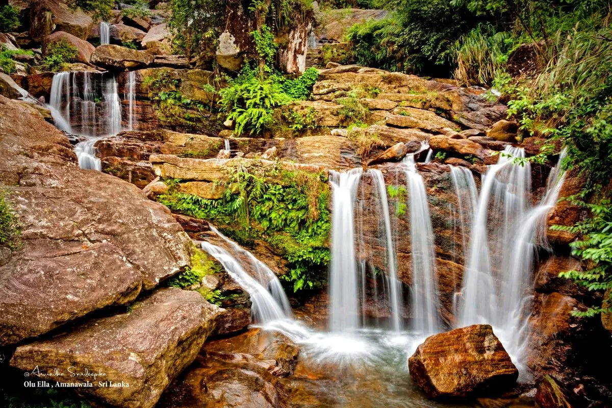 beauty of sri lanka, œuvre de Anuradha Sandeepika
