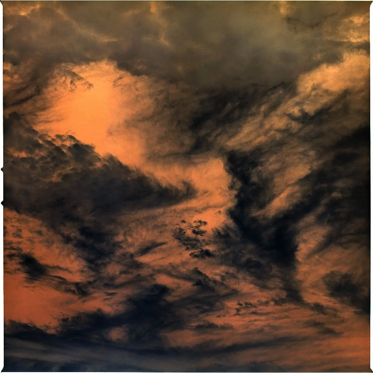 the idea brewed # hurricane, œuvre de Morihiro Tsubokura