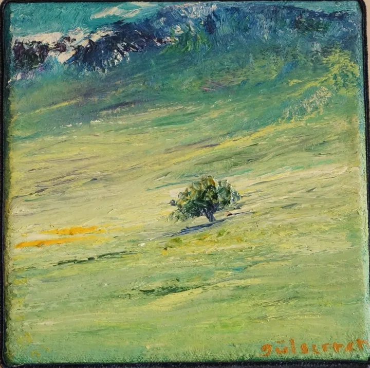 Solitary, œuvre de Gulseren Yalcintas