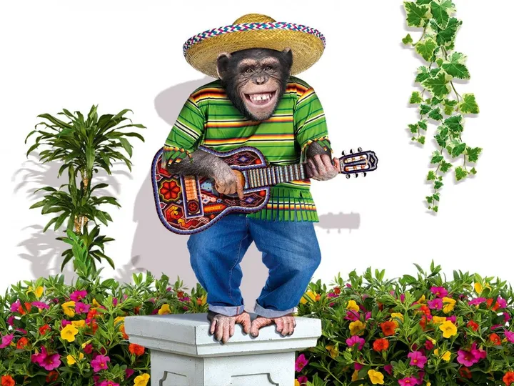 Lucky monkey in sombrero singing at ukulele guitar, œuvre de Anatolii TOMOIANU