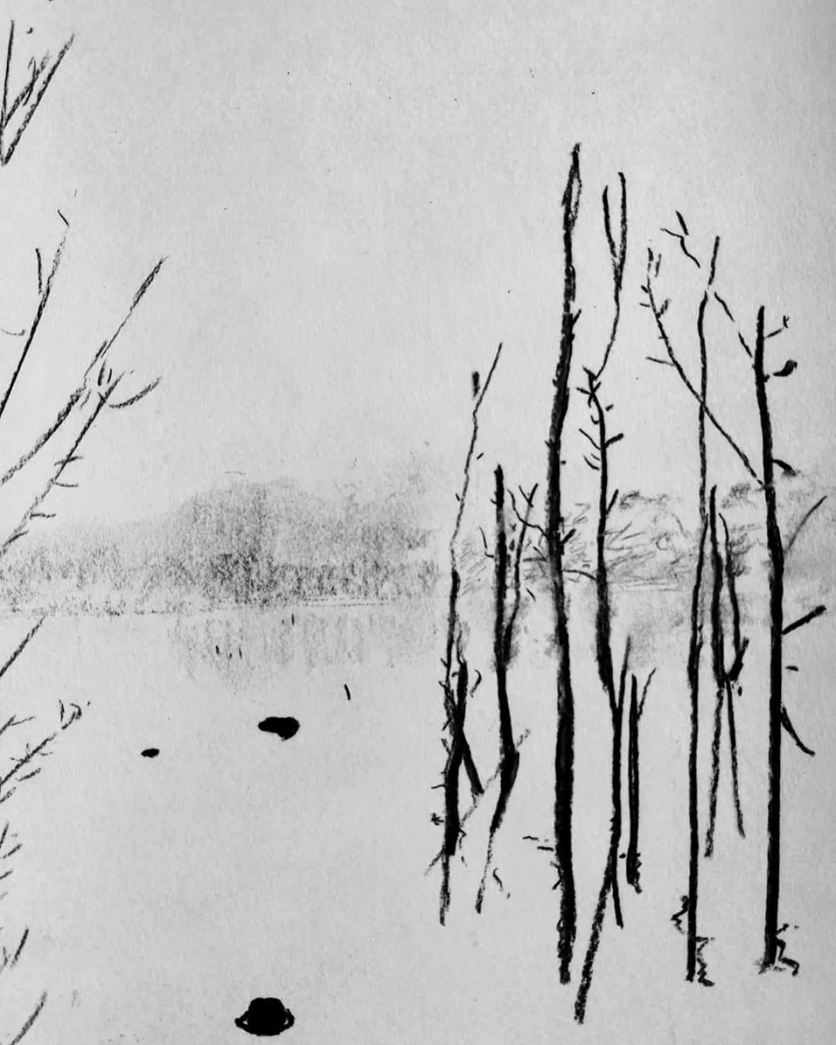 Le lac, œuvre de Laurent Rebondy