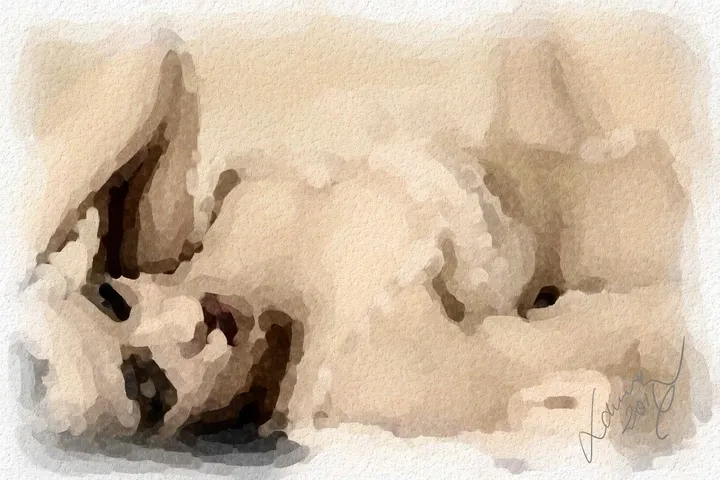 Summer Dream, œuvre de Lamine Bensaou