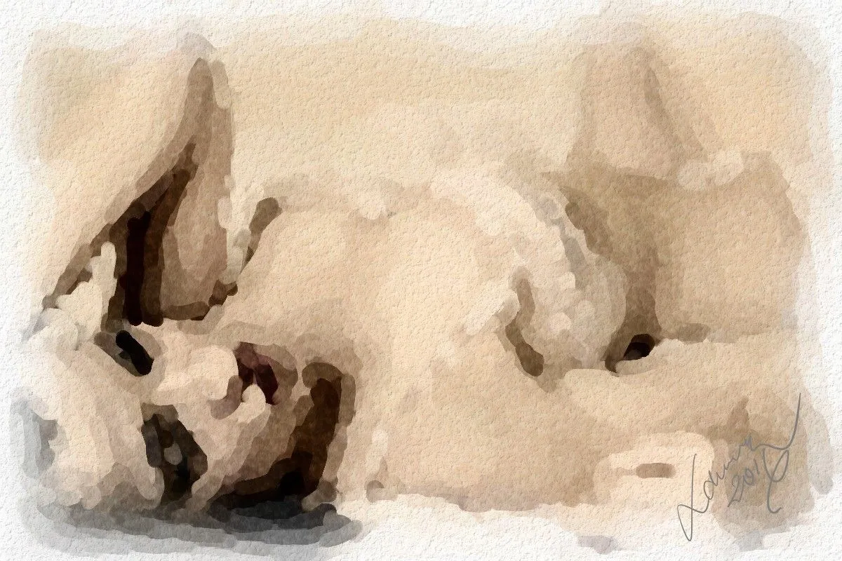 Summer Dream, œuvre de Lamine Bensaou