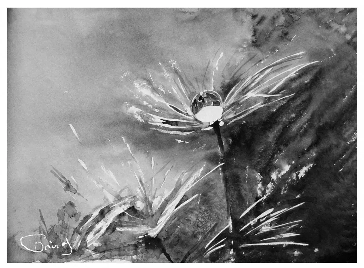 Dandelion, artwork by Darina Gayvas