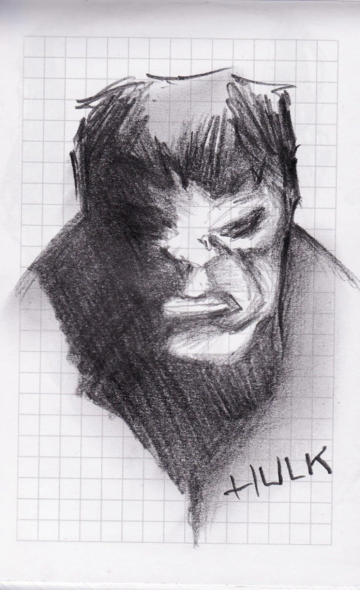 Hulk, œuvre de Loay Youssef