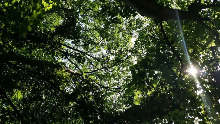 Green light, œuvre de Cindy BLOSSE